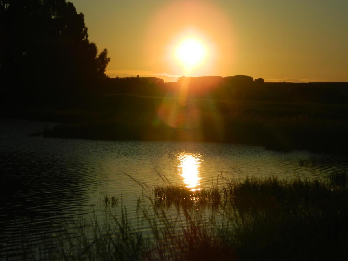 Dewdrop Farm Stay Ermelo Luaran gambar